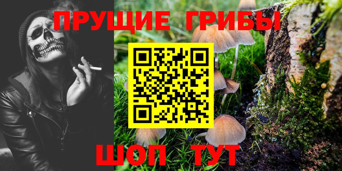 Псилоцибиновые грибы GOLDEN TEACHER  Вход с VPN  Москва 